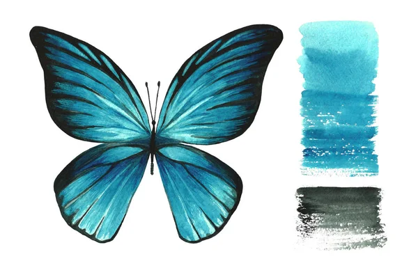 水彩画光青い分離蝶白背景と色のストレッチします 手作りの動物イラスト 飛んでいる虫 装飾のためのオブジェクト — ストック写真