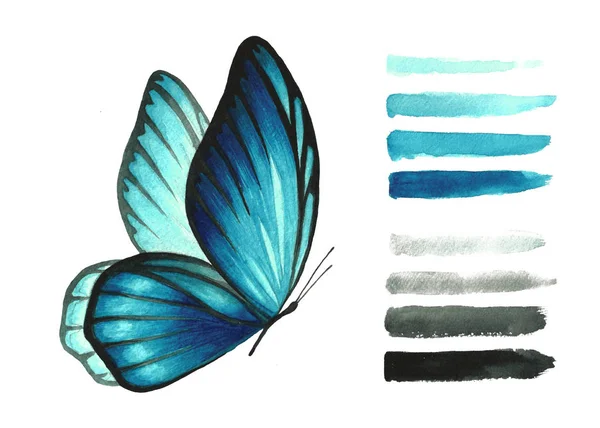 Aquarell Hellblauer Isolierter Schmetterling Auf Weißem Hintergrund Und Einem Satz — Stockfoto