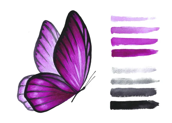 水彩のピンク分離蝶白い背景とブラシのセット 手作りの動物イラスト 飛ぶ昆虫オブジェクトの装飾のため — ストック写真