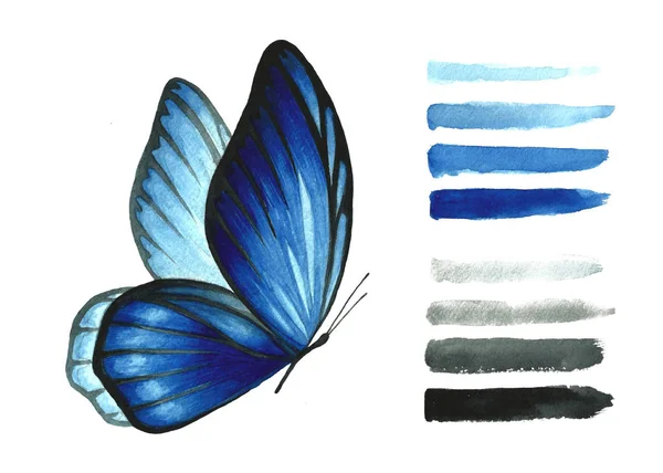 Aquarelle Bleu Isolé Papillon Sur Fond Blanc Ensemble Brosses Illustration — Photo