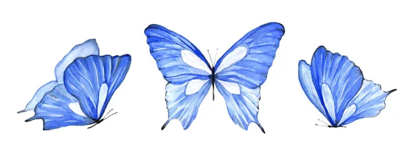 Tres Mariposas Azules Acuarela Ilustración Insecto Volador Sobre Fondo Blanco — Foto de Stock