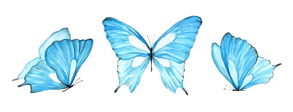 Tres Mariposas Color Azul Claro Acuarela Ilustración Insecto Volador Sobre — Foto de Stock