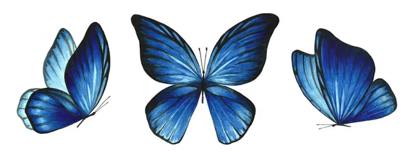 Conjunto Mariposas Azules Acuarela Ilustración Insecto Volador Sobre Fondo Blanco —  Fotos de Stock