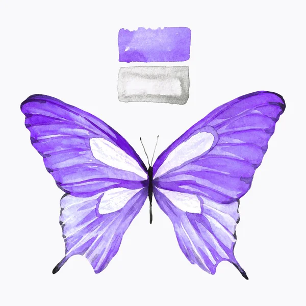 紫を蝶します 水彩画 動物の隔離された図面 手作りの図 — ストック写真