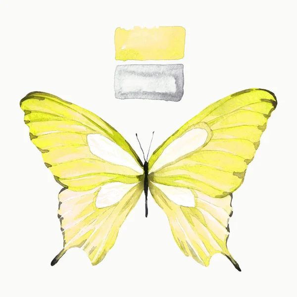 黄色を蝶します 水彩画 動物の隔離された図面 手作りの図 — ストック写真
