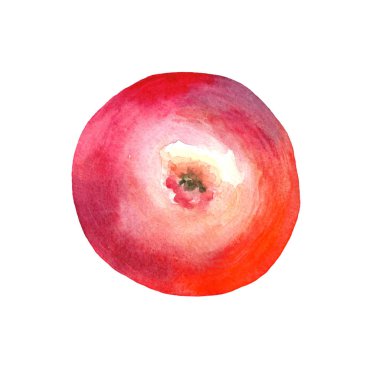 Suluboya elma kırmızı. Alt görünümü.