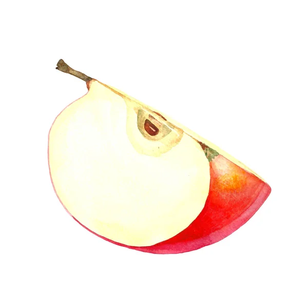 Акварель красный яблоко cutWatercolor красный яблочный разрез — стоковое фото