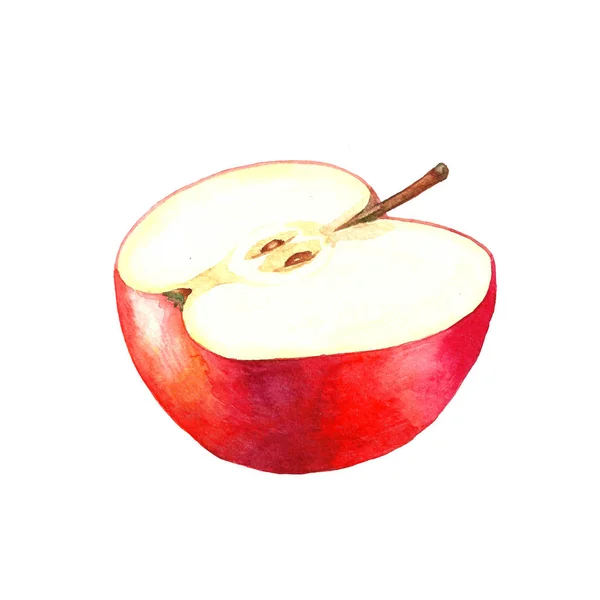 Půl červené jablko. — Stock fotografie