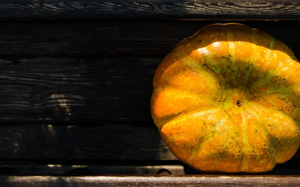 One Pumpkin Wooden Box — Stock Photo, Image