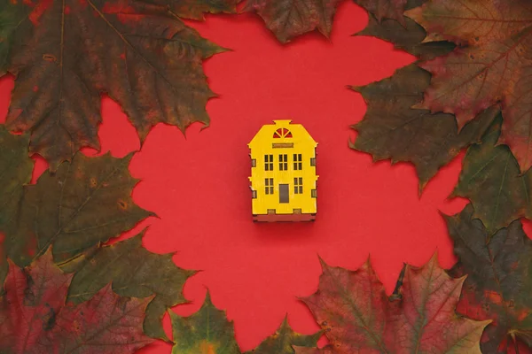 Maison Bois Miniature Dans Cercle Feuilles Érable Sur Fond Rouge — Photo