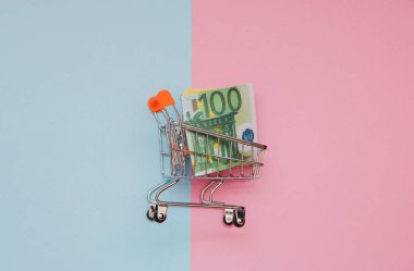 alışveriş sepeti ve mavi pembe arka plan kopya alanı ile kredi kartı Euro para.
