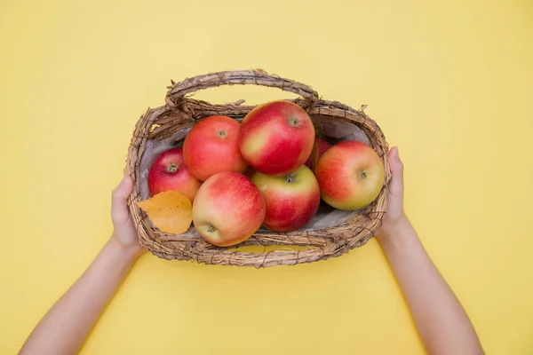 Child Hands Holding Basket Red Apples Yellow Background Autumn Composition — Stock Photo, Image