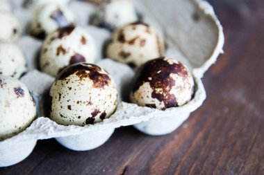 Küçük bıldırcın yumurtalarıyla desenli bahar arkaplanı. Eko ürünleri.