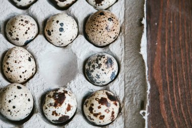 Bahar arka plan küçük bıldırcın yumurtası ile dokulu. Eko ürünler. Bıldırcın yumurta Karton Ambalaj.