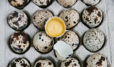 Bıldırcın yumurta karton ambalaj içinde. Kabuk olmadan bıldırcın yumurtası sarısı.