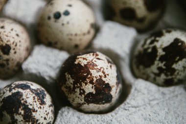 Bahar arka plan küçük bıldırcın yumurtası ile dokulu. Eko ürünler. Bıldırcın yumurta Karton Ambalaj.