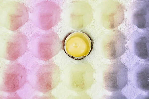 Bıldırcın Yumurta Karton Ambalaj Içinde Kabuk Olmadan Bıldırcın Yumurtası Sarısı — Stok fotoğraf