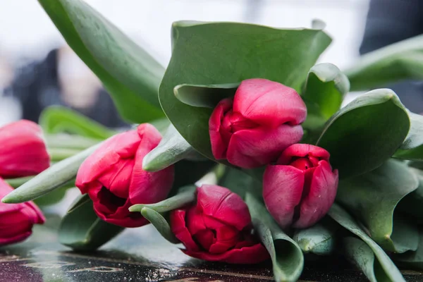 Piękny różowy bukiet tulipanów, wiosennych kwiatów uprawianych w szklarni. Wiosenne kwiaty i kwiaciarstwa selektywnej ostrości — Zdjęcie stockowe