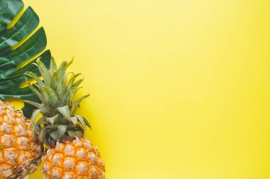 Olgun taze ananas ve renk arka plan, üstten görünüm üzerinde monstera ağacının yaprak