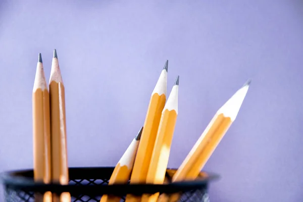 コピースペースを持つ6つのシンプルな鉛筆紫色の背景。選択的フォーカス — ストック写真