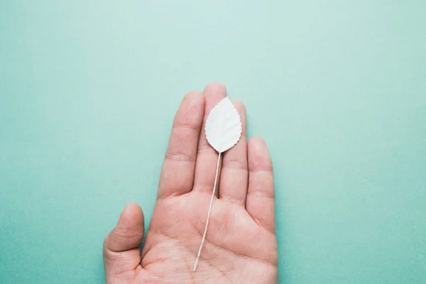 Flatlay van eenvoudige kleine witte papieren blad in de hand op blauwe achtergrond, herfst concept — Stockfoto