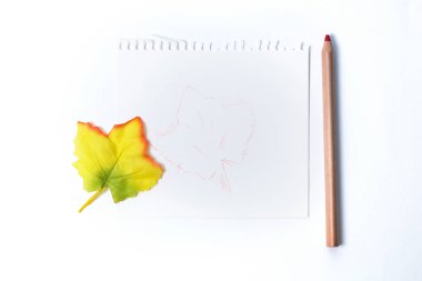 eğitim veya çizim, kavramın çizim: kırmızı bir kalem ve defter bir kompozisyon ve sonbahar akçaağaç yaprağı temiz bir anahat. Kopya alanı ve boş not defteri, seçici odak