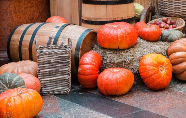 Seasonal pumpkin harvest on straw market selective focus — Stock Photo, Image