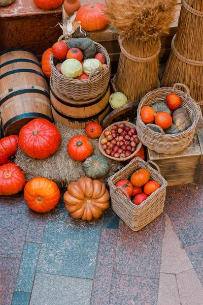 Seasonal pumpkin harvest in basket on market selective focus — Stock Photo, Image