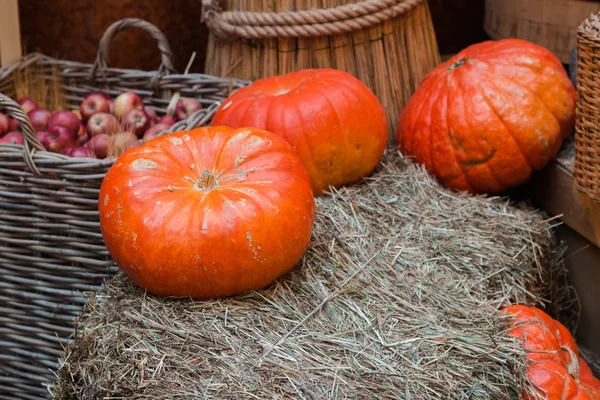 Seasonal pumpkin harvest on straw market selective focus — Stock Photo, Image