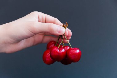 Karanlık bir arka planda sulu olgun kirazlar. Seçici odak.