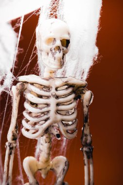 Turuncu arka planda örümceğin ağındaki sahte bir iskelet. Cadılar Bayramı dekorasyonu, korkunç tema.