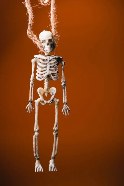 Valse Skelet Een Touw Achtergrond Een Oranje Achtergrond Halloween Decoratie — Stockfoto