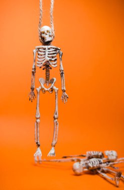 Arka plandaki ipte sahte iskelet ve turuncu arka planda iskeletler. Cadılar Bayramı dekorasyonu, korkunç tema.