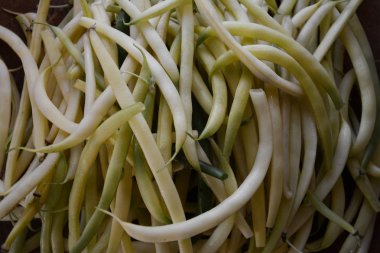 sarı kuşkonmaz fasulye olduğunu yararlı bir bitkisel diyet 2018