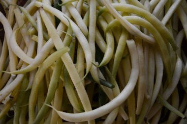 sarı kuşkonmaz fasulye olduğunu yararlı bir bitkisel diyet 2018