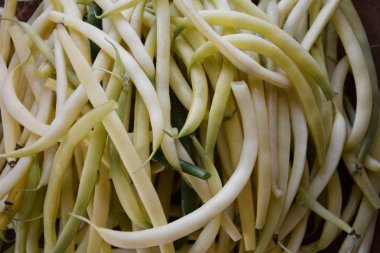 sarı kuşkonmaz fasulye olduğunu yararlı bir bitkisel diyet 2018