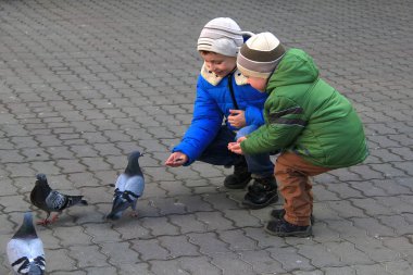 Güvercinler 2018 çocuklar ana kare ile besleme