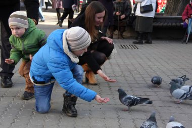 Güvercinler 2018 çocuklar ana kare ile besleme