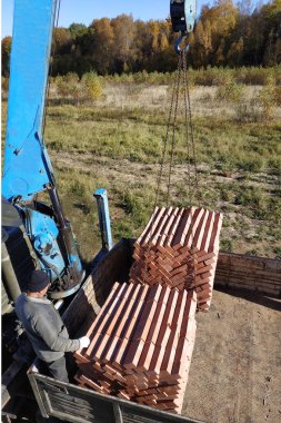 Bir kamyon vinç 2018 bir ev inşa için tuğla kaldırır