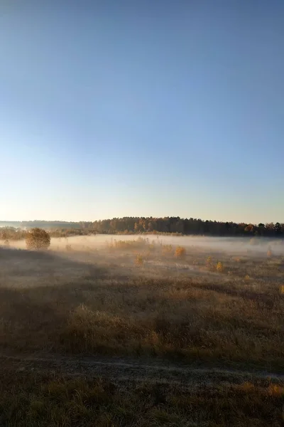 Réunion Matinale Sur Terrain Avec Brouillard Soleil 2018 — Photo