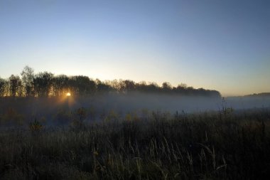 Güzel kalın sis gündoğumu sonbahar sonbahar peyzaj ağaç tepelerinin 2018 siste görünür olan alanlar üzerinde