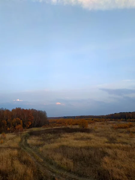 Ciel Soir Contre Forêt Champ Automne 2018 — Photo