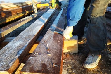 Pano doldurulmuş keskin çivi keskin bahşiş 2018 gibi görünüyor