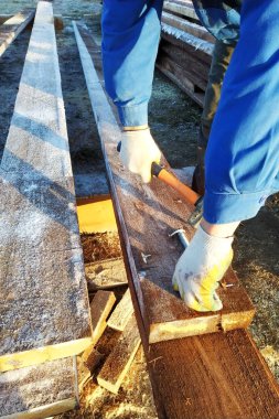 Pano doldurulmuş keskin çivi keskin bahşiş 2018 gibi görünüyor