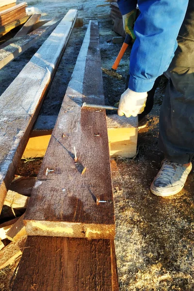 Pano doldurulmuş keskin çivi keskin bahşiş 2018 gibi görünüyor