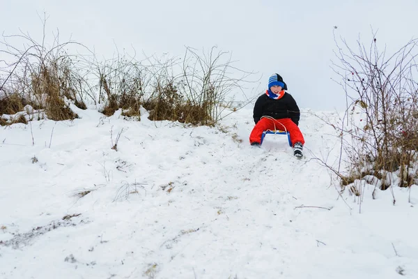 Sledge Boy Red Pants Very Happy 2019 — Stock Photo, Image