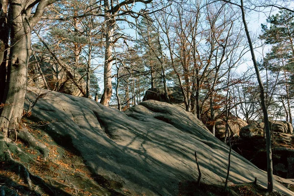 Dovbush Rocks Oekraïne Aangelegde Foto Van Herfst Bomen Zonder Bladeren — Stockfoto