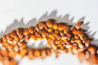 Tahıl buğday dağınık bir beyaz arka plan, doku, hidrokarbon gıda 2019