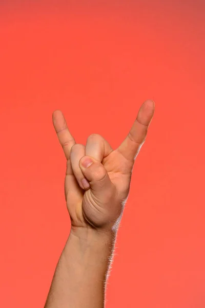 2019 赤の背景に分離したヤギの記号で人の手のクローズ アップ — ストック写真