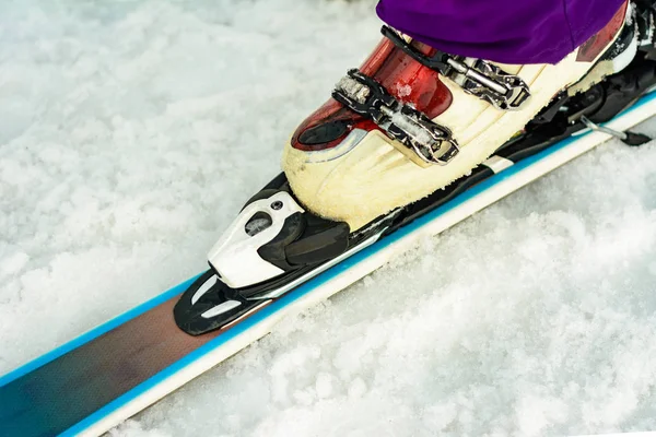 Zblízka lyže lyžař lyžař lyžař na sněhu bílé a fialové barvy — Stock fotografie